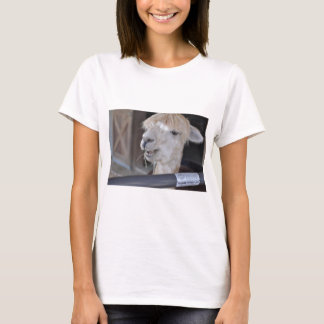 Alpaka, Weiß T-Shirt