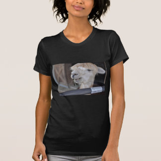 Alpaka, Weiß T-Shirt
