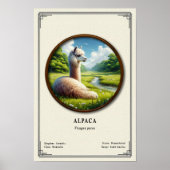 Alpaka-Zoologie-Serie Poster (Vorne)