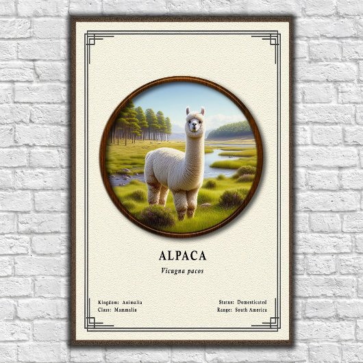 Alpaka-Zoologie-Serie Poster
