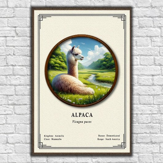 Alpaka-Zoologie-Serie Poster