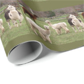 Alpakagemisch ~ Packpapier (Rolleneckpunkt)