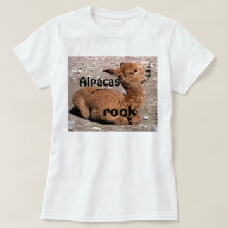 Alpakas FELSEN T-Shirt
