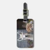 Alpakas Gepäckanhänger (Vorderseite vertikal)