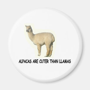 Alpakas sind niedlicher als Lamas Magnet