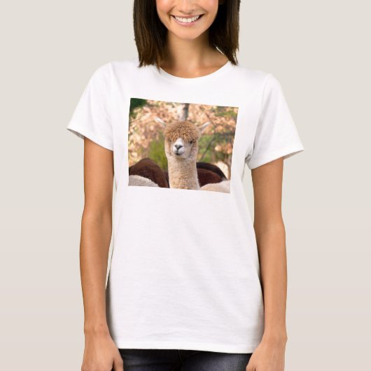 Alpakat-shirts T-Shirt (Vorderseite)