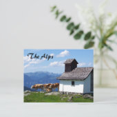 Alpen Bergwelt Landschaft mit Alpenkühen Postkarte (Stehend Vorderseite)