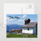 Alpen Bergwelt Landschaft mit Alpenkühen Postkarte (Vorne/Hinten)