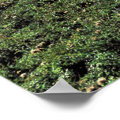 Alpen der Schweiz Poster (Ecke)