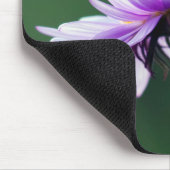 Alpen-Gänseblümchen Mousepad (Ecke)