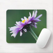 Alpen-Gänseblümchen Mousepad (Mit Mouse)
