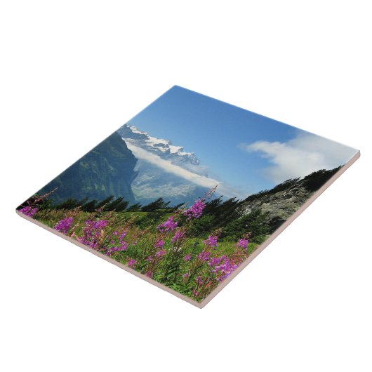 Alpen - Schweiz Fliese (Seite)