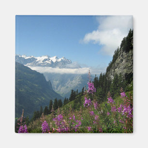 Alpen, Schweiz Magnet