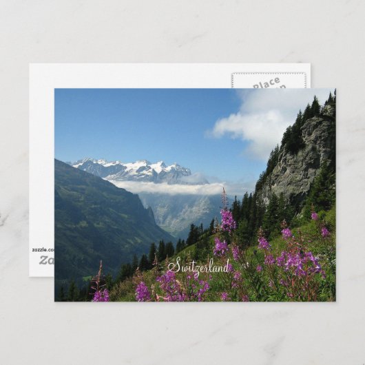 Alpen - Schweiz Postkarte (Vorne/Hinten)