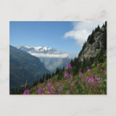 Alpen - Schweiz Postkarte (Vorderseite)