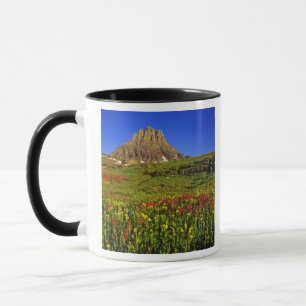 Alpen-Wildblumen am Logan Pass im Glacier Tasse