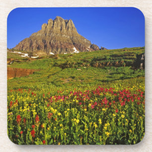 Alpen-Wildblumen am Logan Pass im Glacier Untersetzer