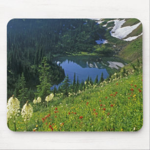 Alpenblumen im Jewel Basin in der Mousepad