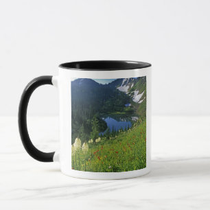 Alpenblumen im Jewel Basin in der Tasse