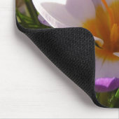 Alpencrocus nah mousepad (Ecke)