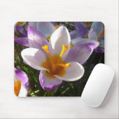 Alpencrocus nah mousepad (Mit Mouse)
