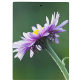 Alpendämie Klemmbrett (Rückseite)