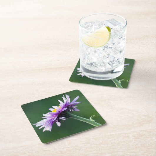 Alpendämie Rechteckiger Pappuntersetzer (Vor Ort)