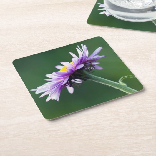 Alpendämie Rechteckiger Pappuntersetzer (angewinkelt)