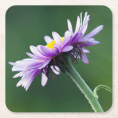 Alpendämie Rechteckiger Pappuntersetzer (Vorderseite)