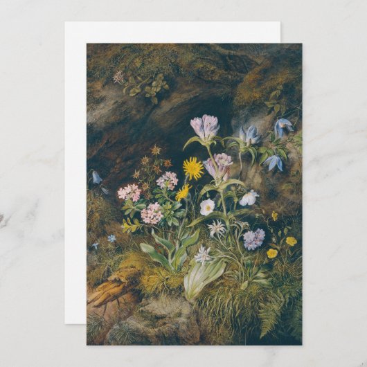 Alpenflora | Theodor Petter (Vorne/Hinten)