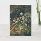 Alpenflora | Theodor Petter Karte (Vorderseite)