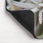 Alpengelbe Mousepad (Ecke)