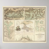 Alpengletscher Poster (Vorne)