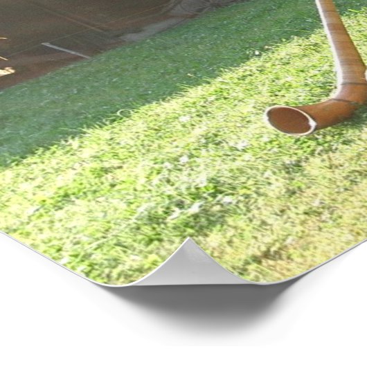 Alpenhorn Poster (Ecke)