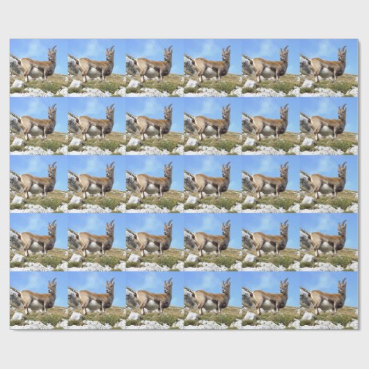 Alpenibex Geschenkpapier (Flach)