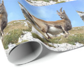 Alpenibex Geschenkpapier (Rolleneckpunkt)