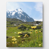 Alpenische Blume - schön! Fotoplatte (Vorderseite)
