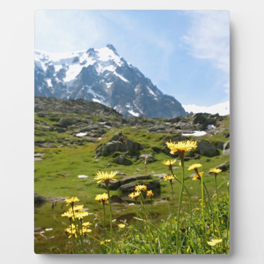 Alpenische Blume - schön! Fotoplatte (Vorderseite)