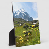 Alpenische Blume - schön! Fotoplatte (Seite)