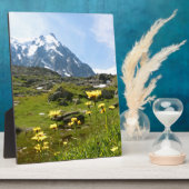 Alpenische Blume - schön! Fotoplatte (Seite)