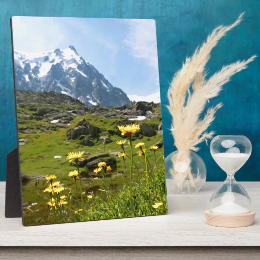 Alpenische Blume - schön! Fotoplatte (Seite)