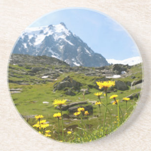 Alpenische Blume - schön! Sandstein Untersetzer
