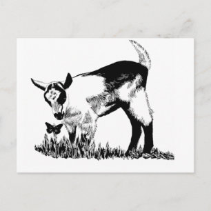 Alpenkind Postkarte