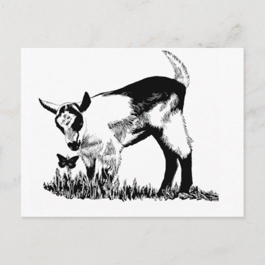 Alpenkind Postkarte (Vorderseite)