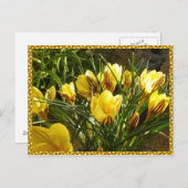 Alpenkräuter Postkarte (Vorne/Hinten)