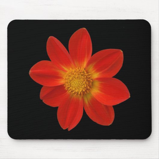 Alpenkreuz (Dahlia) Mousepad (Vorne)