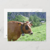 Alpenkuh Postkarte (Vorne/Hinten)
