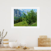 Alpenlandschaft in der Schweiz Poster (Küche)