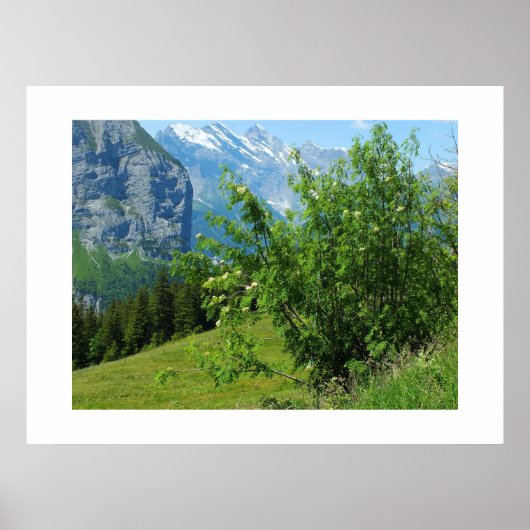 Alpenlandschaft in der Schweiz Poster (Vorne)