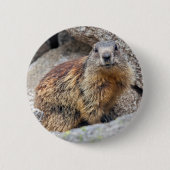 Alpenmarmot-Abzeichen Button (Vorderseite)